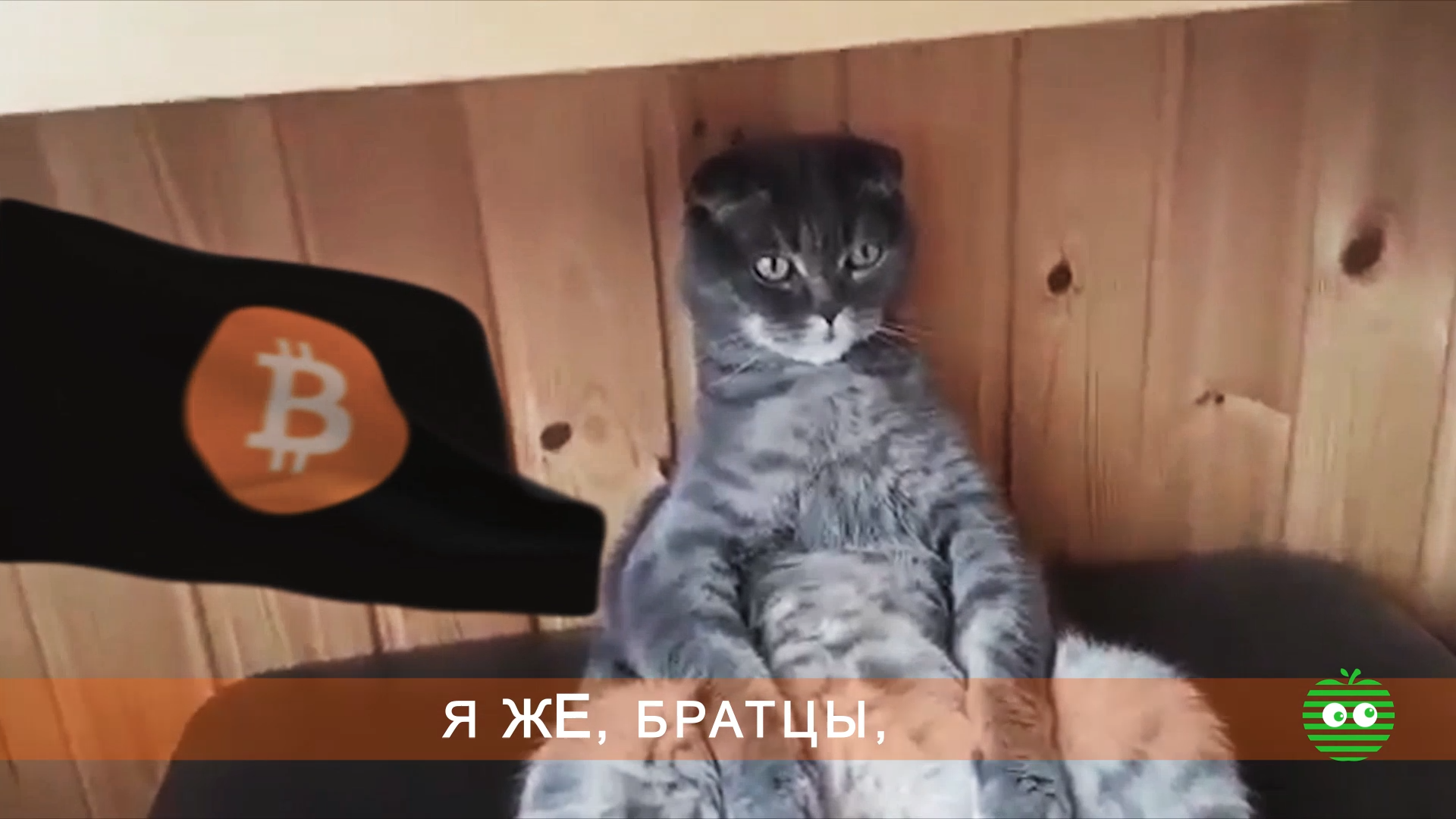 Кадр из видео YABL Bitcoin - 2